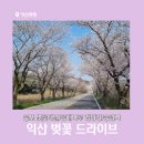 서익산농협웅포지점 | 익산 벚꽃 드라이브 코스 추천 웅포 벚꽃터널/곰개나루캠핑장/숭림사