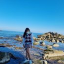 까사콩새 이미지