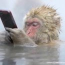 어떤 하루 이미지