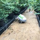 스마트농원 이미지