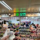 꽃이오면홍대