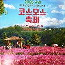 한강시민공원 암사대교 하부 | 2025 구리 코스모스 축제 구리한강시민공원 출연진 주차