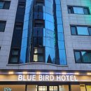 블루버드 호텔 | 인천 블루버드호텔 솔직후기✨️ 블루버드 호텔 조식,편의시설,룸 컨디션 정보