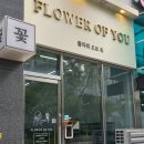 오브유플라워 | 나주혁신도시꽃집 24시꽃플라워오브유에서 예쁜 스투키 화분 후기