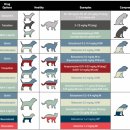 다나은동물병원 이미지