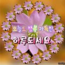 8월16일 고발뉴스 이미지