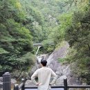 다리안캠핑장 이미지