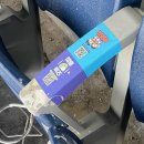 나 폭우오고 다음날 잠실 맨뒷자리 가봤는데 새똥 졸ㄹㄹㄹㄹㄹㄹㄹㄹ라많았음 이미지