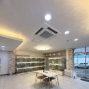 노이펫 강아지 고양이분양 춘천점 | 홍천강아지분양 찾는다면 ‘노이펫 강아지 고양이 춘천점’🐾