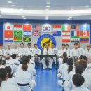 글로벌 태권도장 이미지