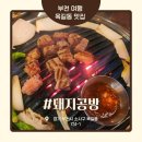 양지공방 | 옥길동 맛집 삼겹살, 돼지공방 부천옥길동본점 모둠반판 후기