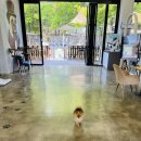 샘재로 1 | [이천 장호원 당일 글램핑] 네추럴그라스 오두막 종일 대관/강아지 없이도 ok