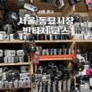 매산시장 골목길 앞 | 서울 동묘 빈티지투어 데이트코스 추천 동묘시장 처음 방문 시 가면 좋은 가게들