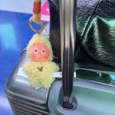 다정크리닝 | 홍콩시티아캔스탑더흔드러바 ep.1