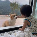 담아놓다 이미지