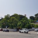 강릉의료원(버스정류장) 이미지