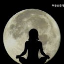 다니엘공인중개사사무소 이미지