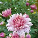 건강한생활 이미지