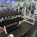 웨이브휘트니스 이미지