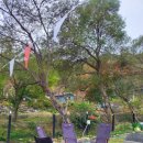 비발디베르만펜션 이미지