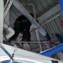 남촌도림동-5 이미지