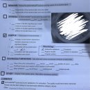 H.B.(꿀벌)동물병원 | HPV 51번 진단 이야기 2ㅣ비급여, 자궁경부확대촬영 저등급병변 + 액상세포진