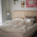 제일세탁 | 통세탁해도 먼지 없는 포렌 차렵이불 후기