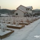 재천농장 이미지