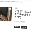 낭창한 강아지 | 강아지 짖음 교육 낭창한 강아지 방문 훈련의 실전 효과 및 후기