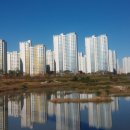 더큰공인중개사사무소 이미지