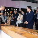 한미태양광발전소 이미지