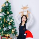메리베어 이미지