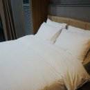 플로르펜션 이미지