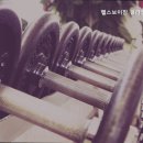 필라걸프리미엄