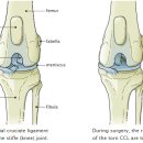 이지 동물병원 이미지