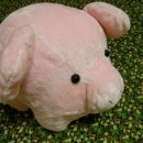 돼지엄마 이미지