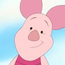 돼지오락실 이미지