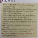 간호과정과비판적사고 이미지