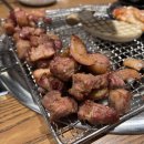 소담돼지 이미지