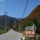 고성터널 Daum카페