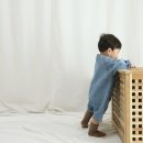세이치즈데이