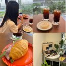 댕버랜드 | 안산 본오동 디저트 카페 맛집 일월의솔체 소금빵 쫀득빵