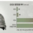 장병·지역 교회 결연 35배 쑥… 제대 후 정착은 가뭄에 콩나듯 이미지