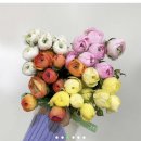 영남화훼농협 이미지