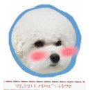 상동망개떡 | [부천상동맛집] 수제 "상동망개떡" 후기!