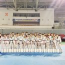 국가대표 본 태권도장 이미지