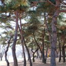 영신유원지 자전거 무료 대여소 이미지