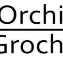 오르치그로치 이미지