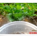 와우농장 이미지