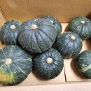 영순농장 이미지